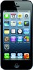 Apple iPhone 5 16GB - Кинешма
